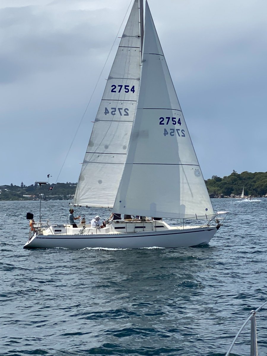 Mottle 33