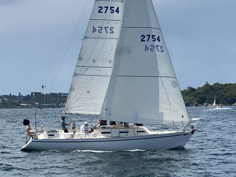 Mottle 33