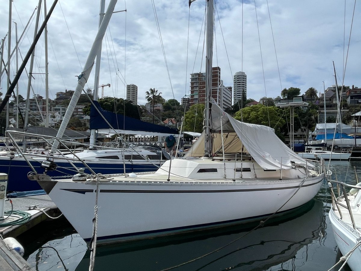 Mottle 33