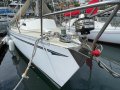 Mottle 33
