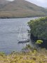 Swanson 36 EXCEPTIONAL CONDITION, EXTENSIVELY UPGRADED!