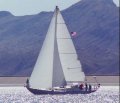 Philip Rhodes Bounty 40:Yachts for Sale in Asia