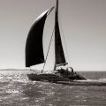 Crowther Shockwave 43 Wild Spirit - HUGE PRICE REDUCTION