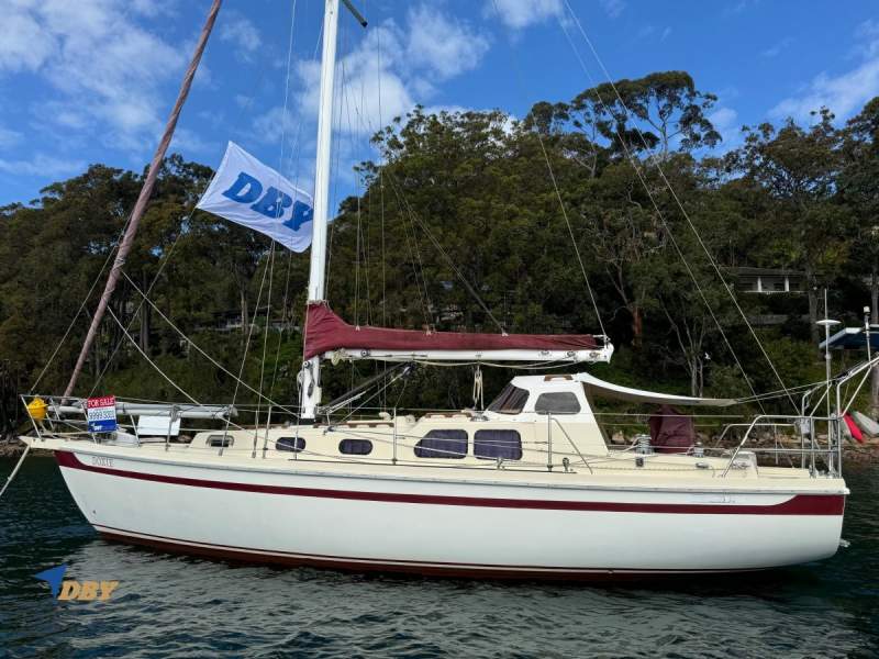 Arends 33