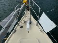 Arends 33