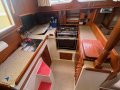 Arends 33