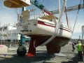 Arends 33