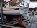 Arends 33