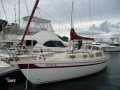 Arends 33