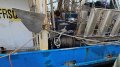 TS623 17.2m Trawler Signet