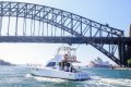Precision 47 Flybridge CHARTER BUSINESS