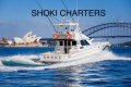 Precision 47 Flybridge CHARTER BUSINESS