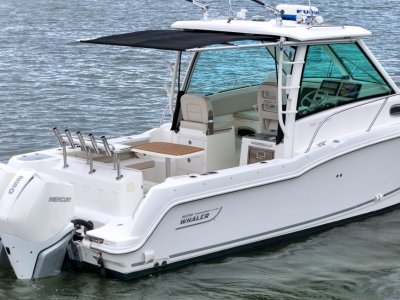 Boston Whaler 285