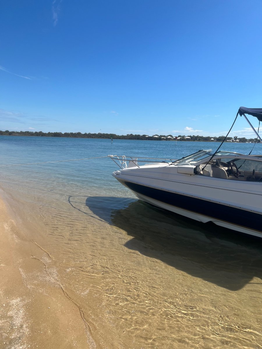 Regal 1950 Lsc Trailer Boats Boats Online for Sale Fibreglass/grp