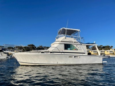 Caribbean 35 Flybridge Cruiser Twin Cummins Diesel