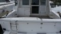 Caribbean 35 Flybridge Cruiser