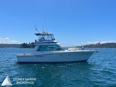 Riviera 44 Flybridge - In AMSA 2D (12 pax + 1 crew) Survey