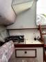 Austral Clubman 8