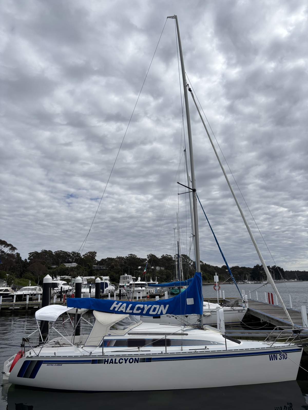 Austral Clubman 8