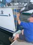 Beneteau Cyclades 43.3:New bow shield Oct 2024