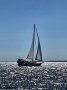 Island Packet 370