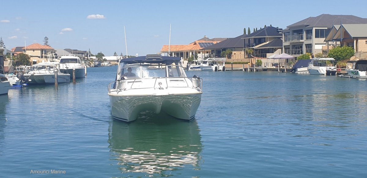 Ozycat 790 Spirit