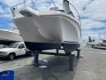 Ozycat 790 Spirit