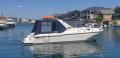 Ozycat 790 Spirit