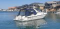 Ozycat 790 Spirit