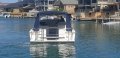 Ozycat 790 Spirit