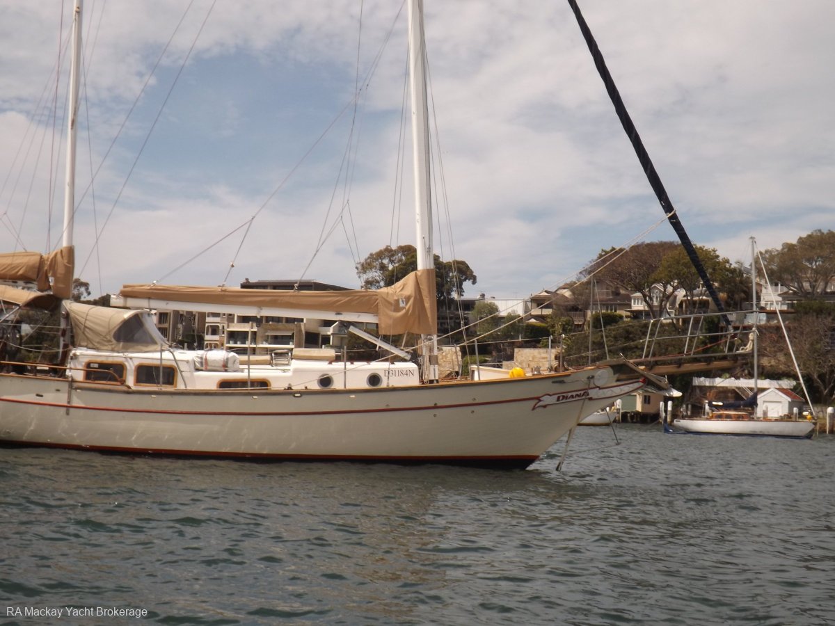 Formosa 41