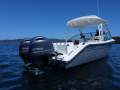 Cobia 280DC