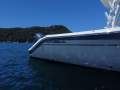 Cobia 280DC