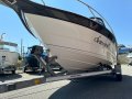 Tristram 641 Avante-Garde