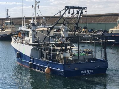 ANNA PEARL & GULF OF ST VINCENT PRAWN FISH LICENCE