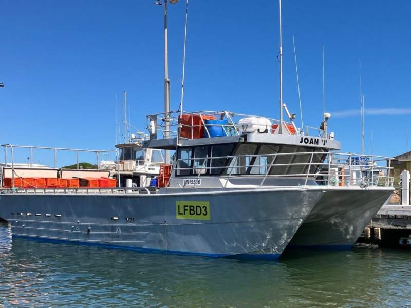 Mark Ellis 12.5m Commercial Catamaran