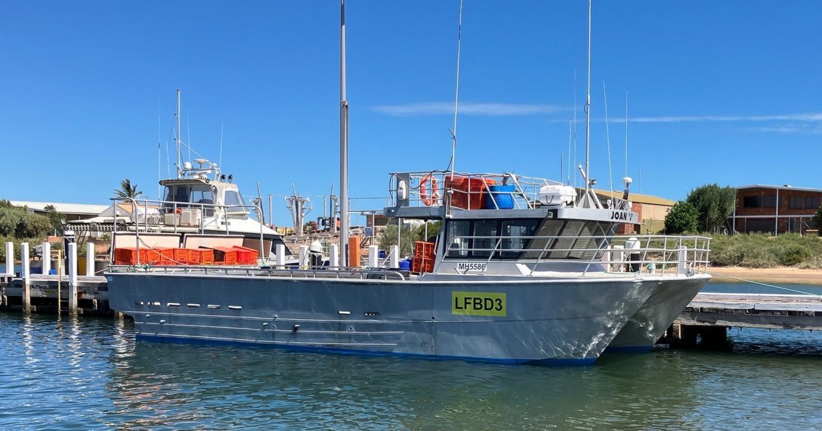 Mark Ellis 12.5m Commercial Catamaran