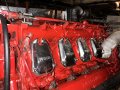 Conquest 55 VESSEL + BUSINESS PACKAGE