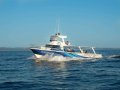 Conquest 55 VESSEL + BUSINESS PACKAGE