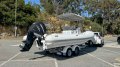 Liya RIB700 with Road Trailer