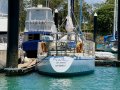 Halvorsen 42 Australian Registered Steel