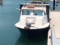 Ex Cray Dive Boat Diesel Fiberglass (Darwin NT)