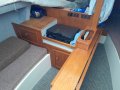 Austral 20
