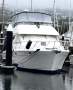 Bayliner 3988 Command Bridge Motoryacht "Le Sands"
