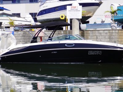 Sea Ray 290 Sundeck