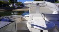 Sea Ray 290 Sundeck