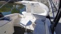 Sea Ray 290 Sundeck