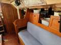 Wauquiez Pretorien 35 Reduced!