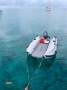 Wauquiez Pretorien 35 Reduced!