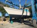 Wauquiez Pretorien 35 Reduced!
